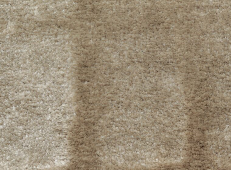 Carpet سميك كافالي - 800