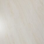 باركيه سيناتور