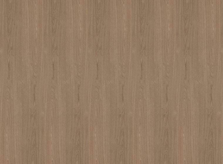 باركيه جنت
