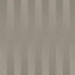 باركيه جنت