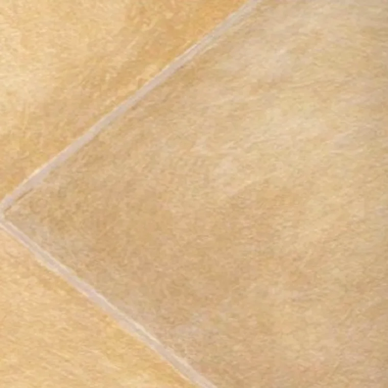 Vinyl ايسنشلز 450 — 5203010