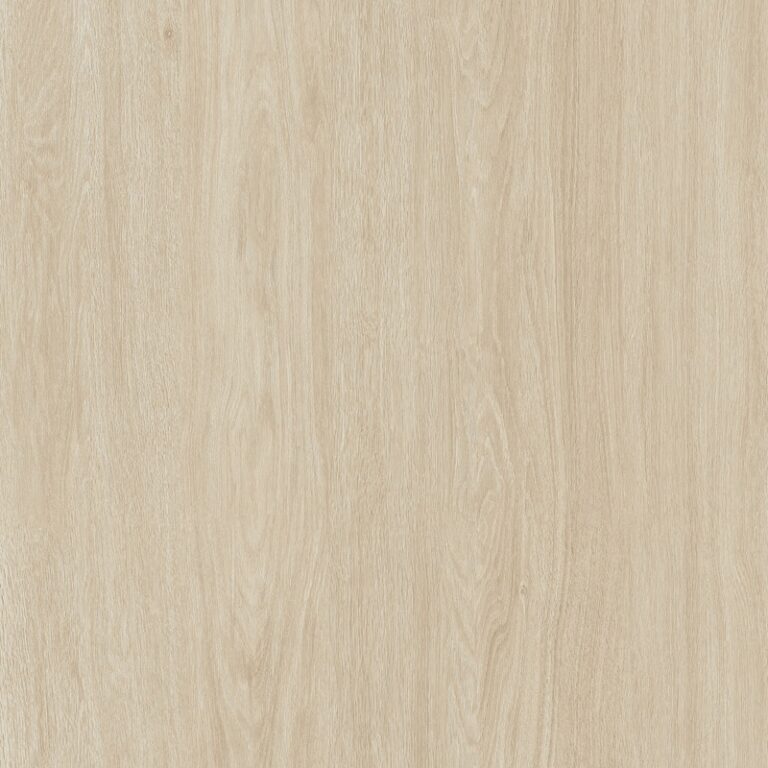 باركيه سيدروا — 101