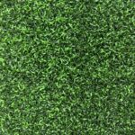دورا برو كروس – 35