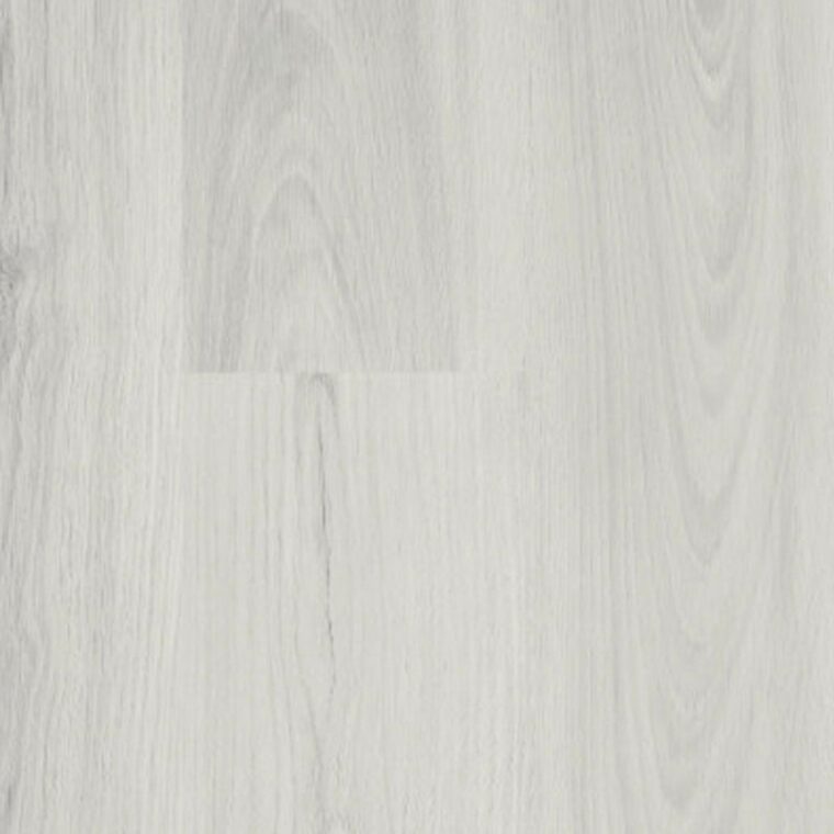 باركيه كلاسيك — 1505
