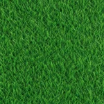 AlSourayia Artificial Grass - Gardens — ALS-P0166